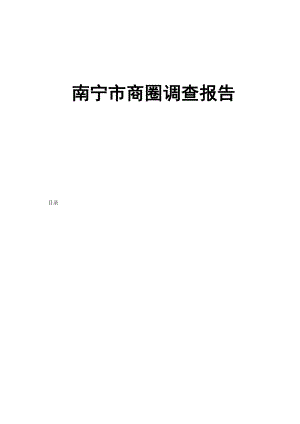 南宁商圈调查报告.doc