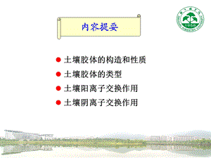 第八章-土壤胶体和土壤离子交换课件.ppt