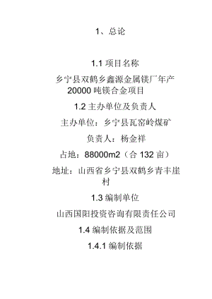 20000吨镁合金项目可研报告.doc