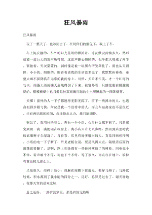 狂风暴雨.docx