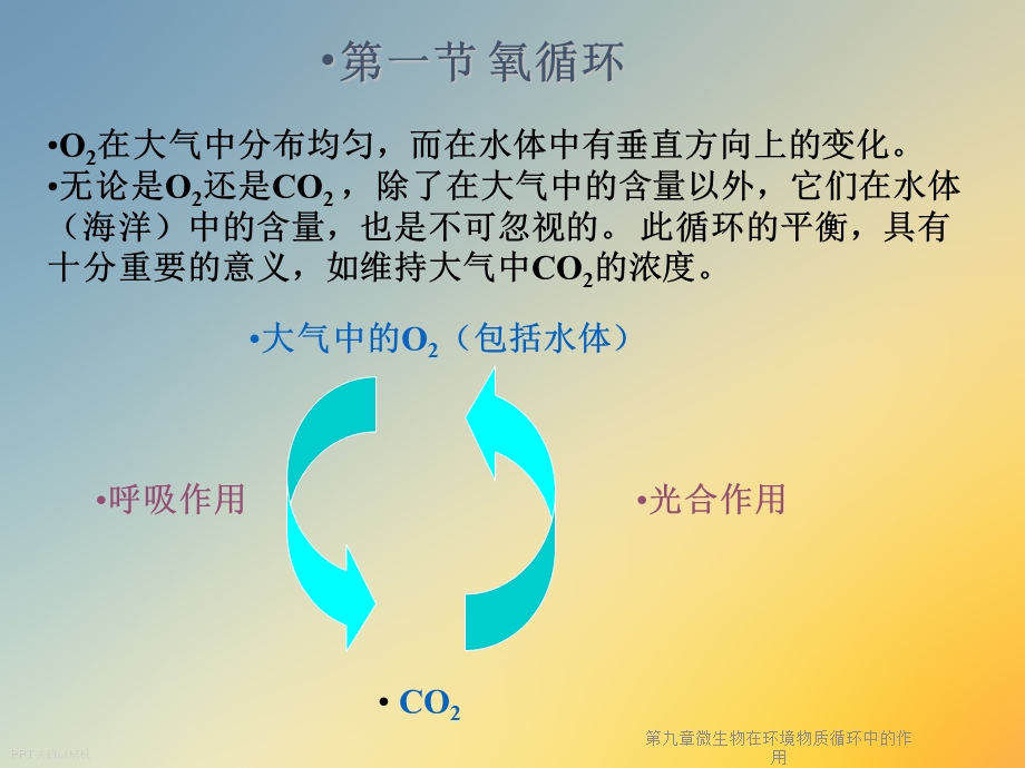 第九章微生物在环境物质循环中的作用课件.ppt_第3页