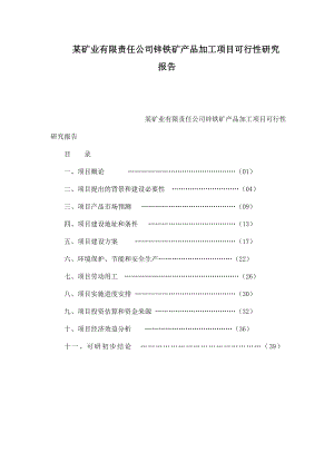 某矿业有限责任公司锌铁矿产品加工项目可行性研究报告.doc