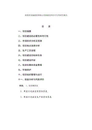 蔬菜基地示范园建设项目可行性研究报告a.doc