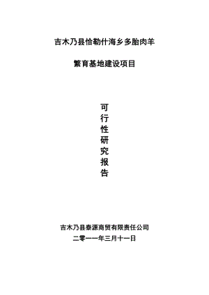 多胎肉羊繁育基地建设项目可行性研究报告.doc