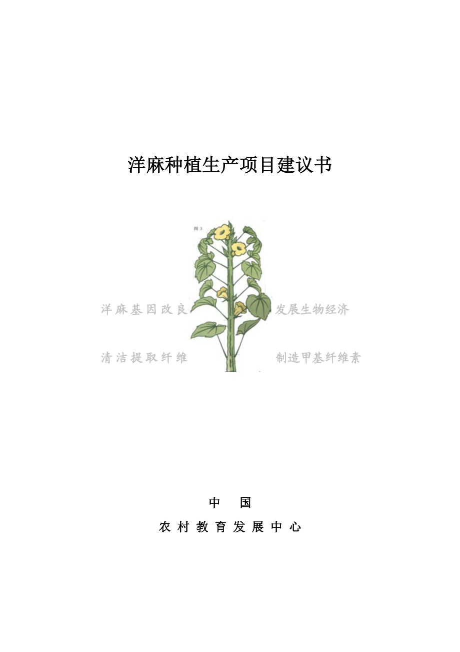 洋麻种植生产项目建议书.doc_第1页