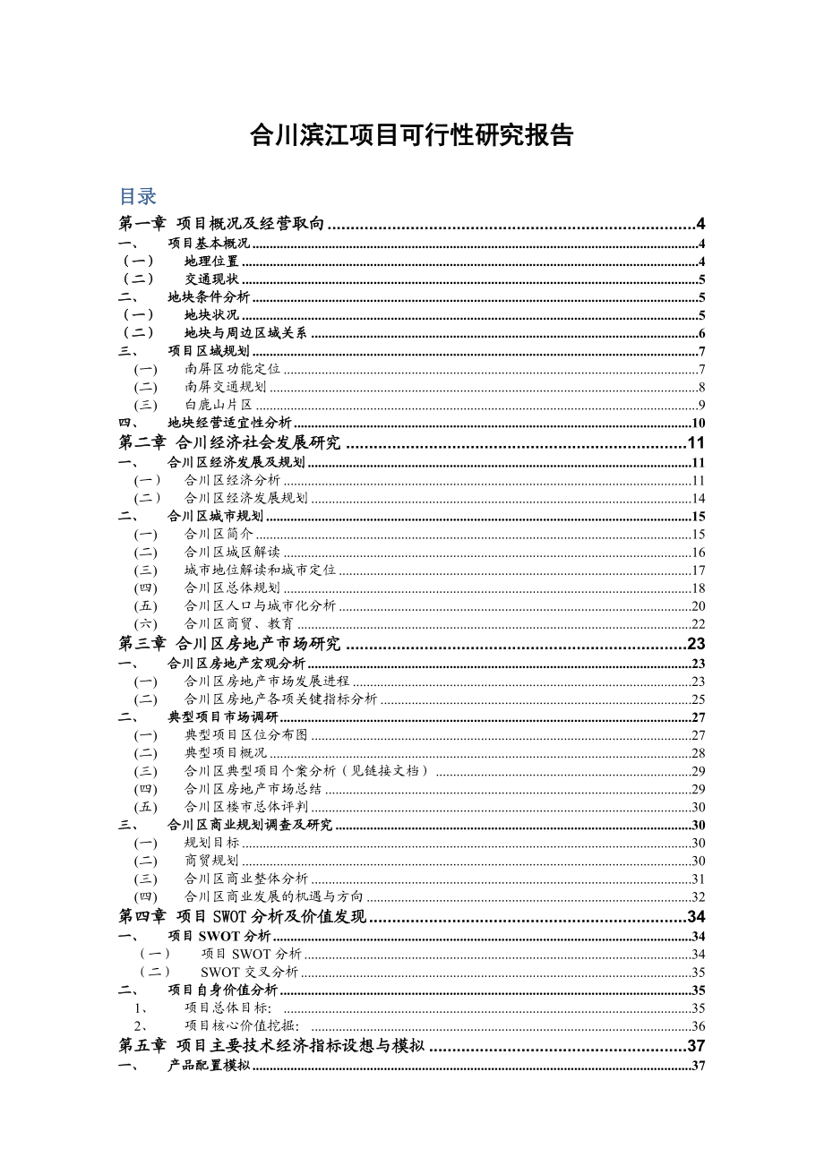 合川滨江项目可行性研究报告.doc_第1页