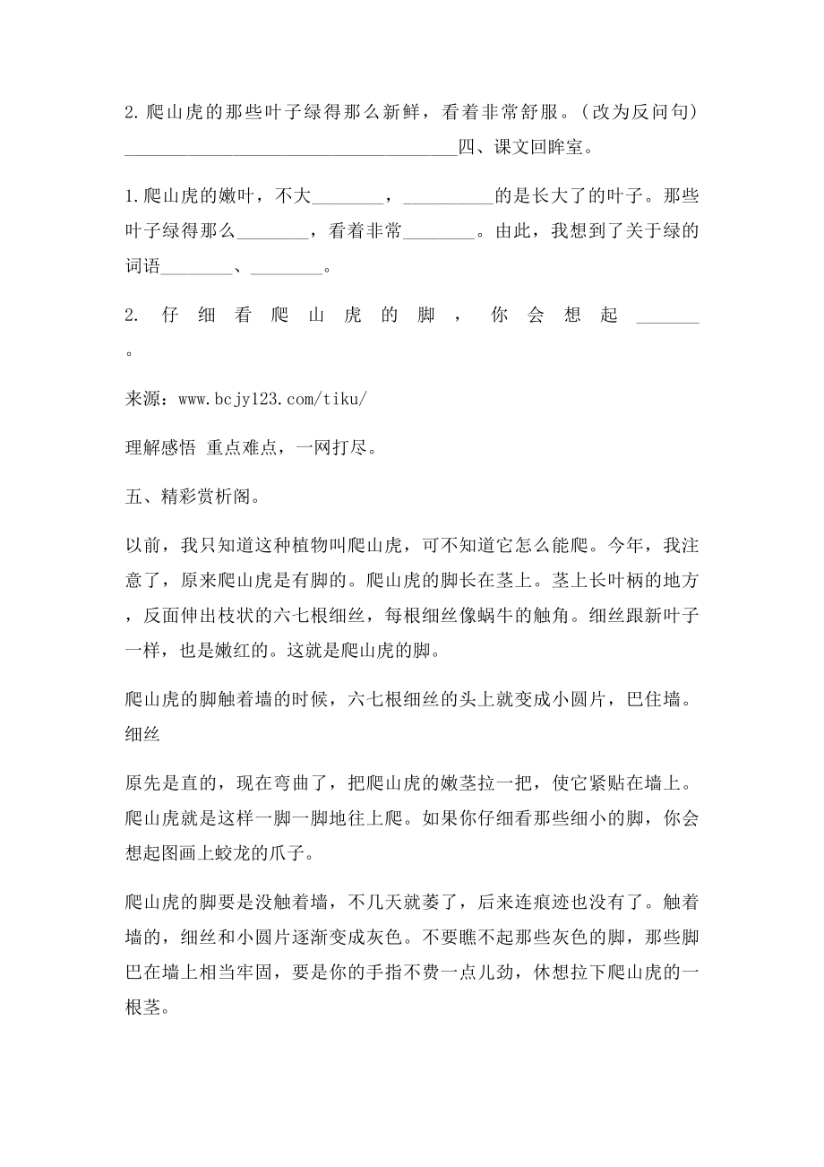 新课人教小学四年级语文上册第2单元课时同步练习6爬山虎的脚附答案.docx_第2页