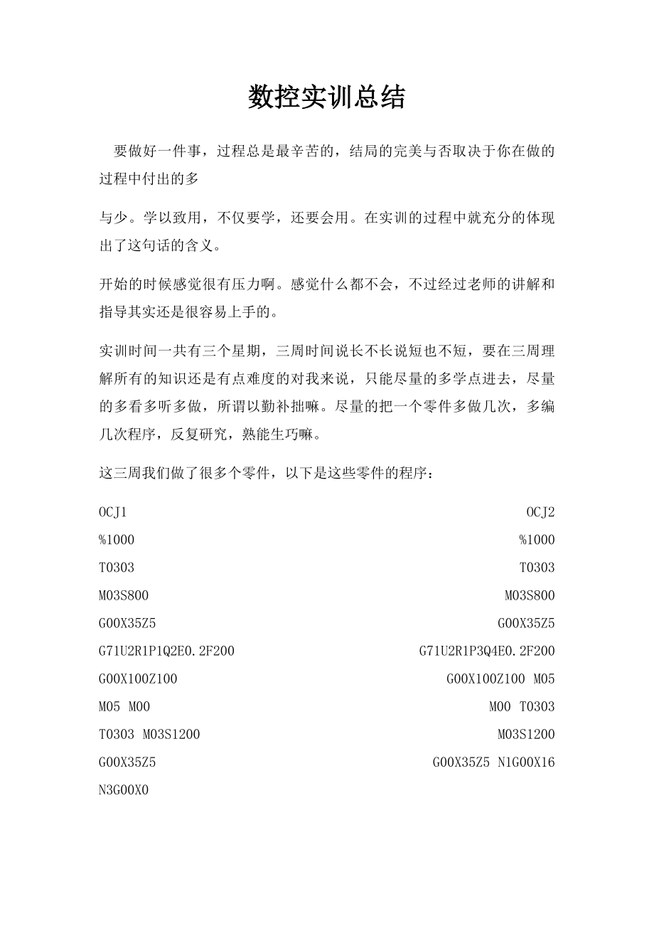 数控实训总结.docx_第1页