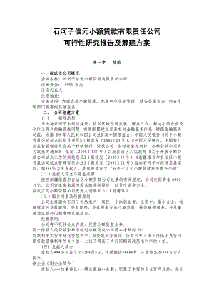 小额贷款有限责任公司项目可行性研究报告及筹建方案23037.doc