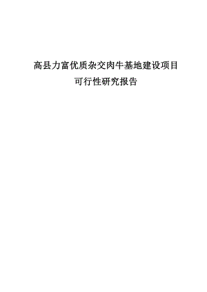 优质杂交肉牛基地建设项目可行性研究报告2.doc