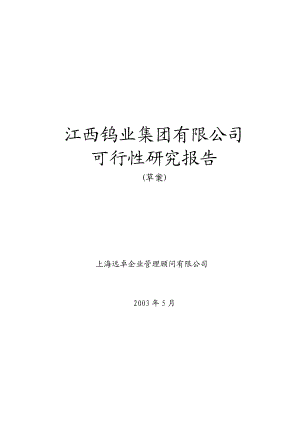 可研报告远卓江西钨业集团可行性研究报告.doc