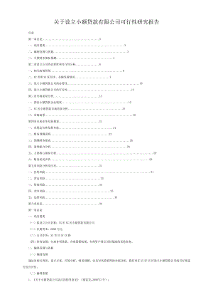 关于设立小额贷款有限公司可行性研究报告.doc