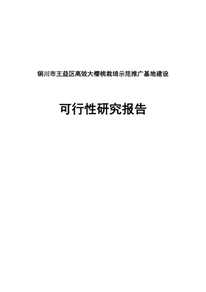 高效大樱桃栽培示范推广基地建设项目可行性研究报告.doc