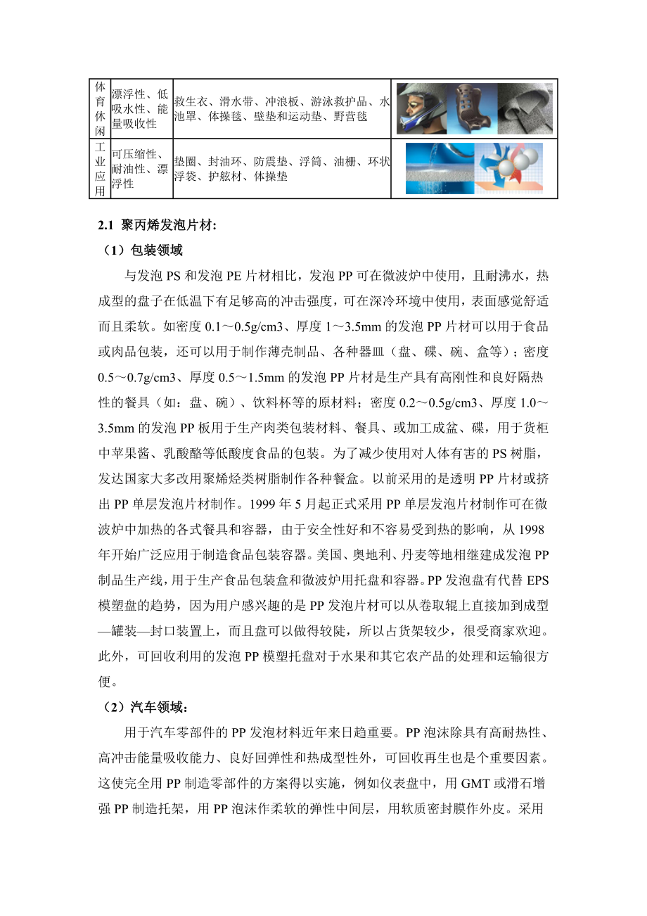 发泡聚丙烯项目可行性报告.doc_第3页