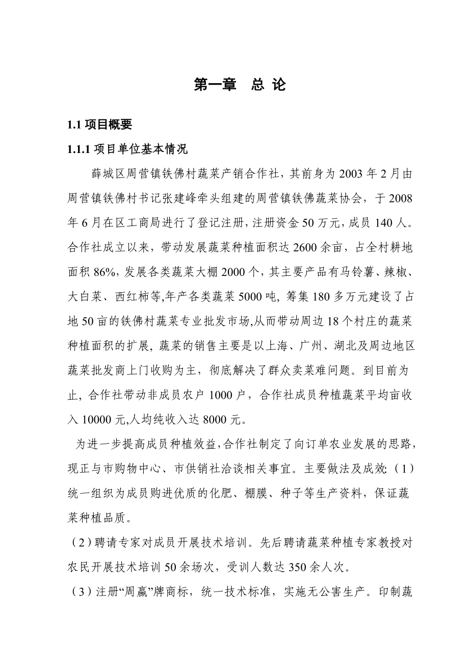 铁佛蔬菜产销专业合作社无公害蔬菜标准化生产示范基地建设项目可行性研究报告.doc_第1页