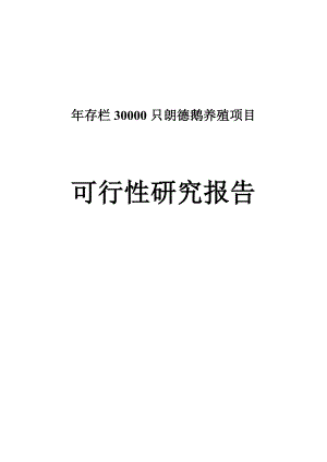 存栏30000只朗德鹅养殖项目可行性研究报告1.doc