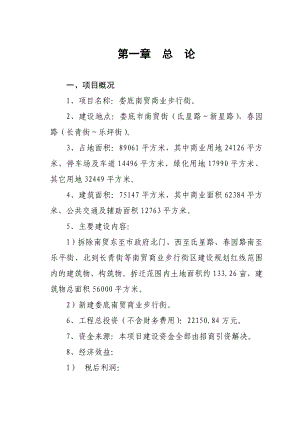 xx步行街可行性研究报告.doc