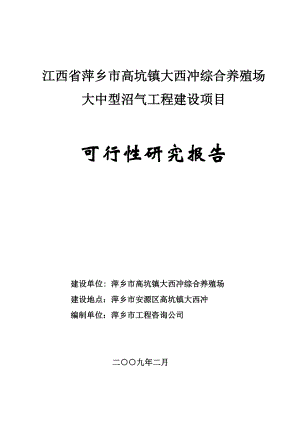 大西冲综合养殖场大中型沼气工程建设项目可行性研究报告.doc