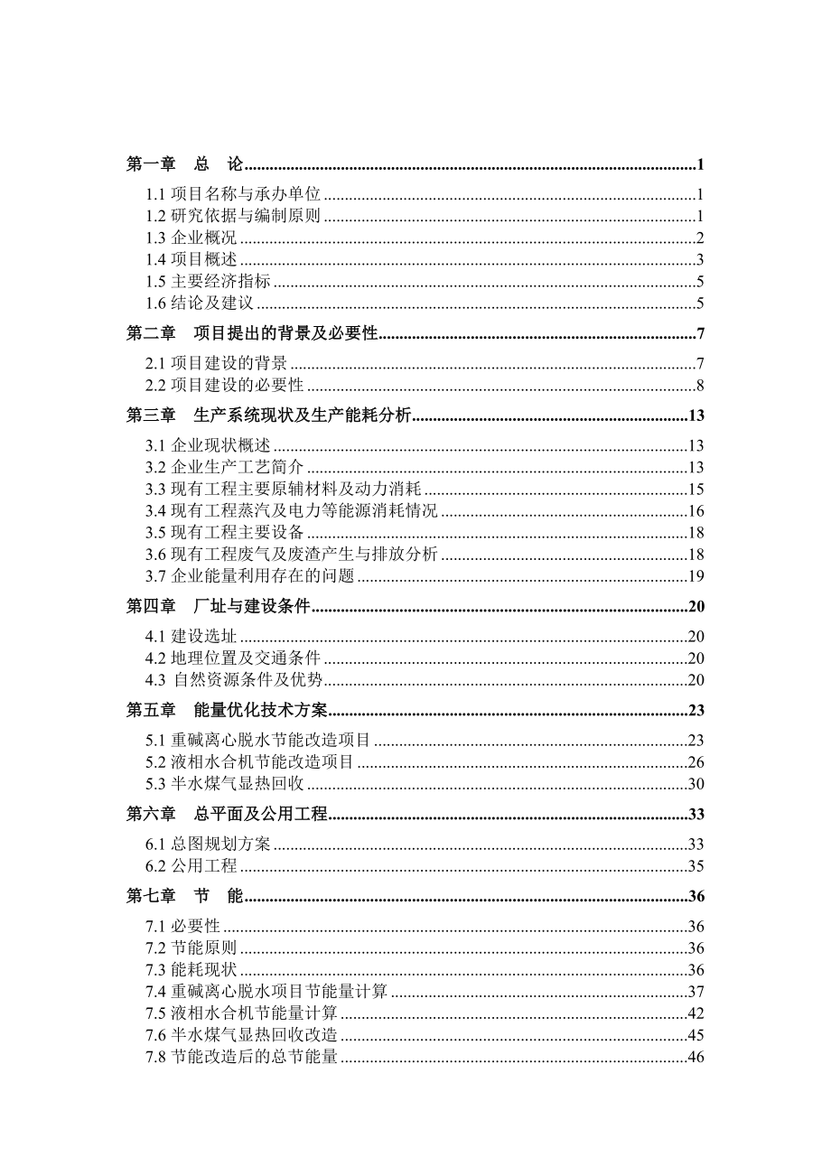 xx联碱生产能量系统优化项目可行性研究报告（优秀可研报告）.doc_第2页