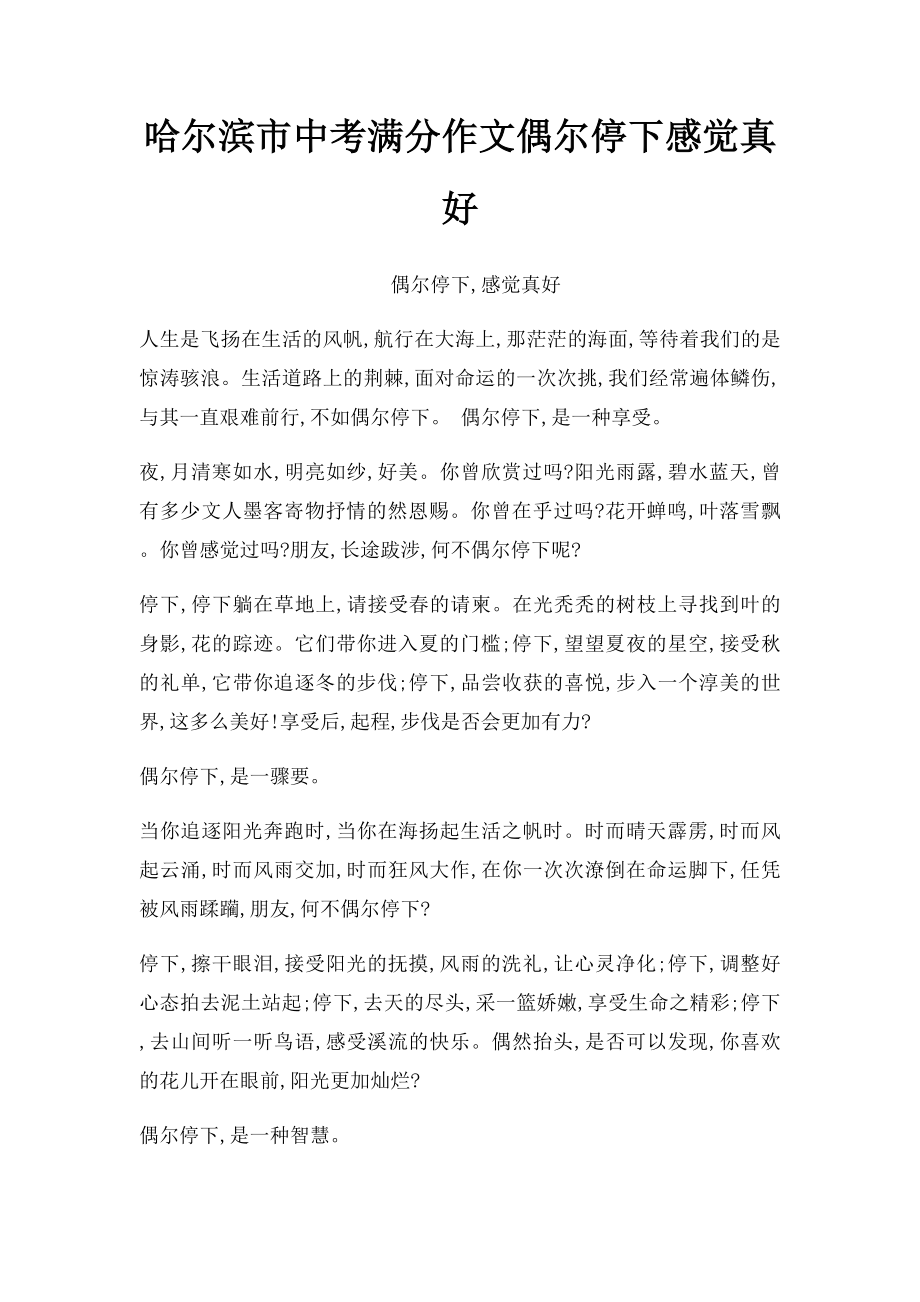 哈尔滨市中考满分作文偶尔停下感觉真好.docx_第1页