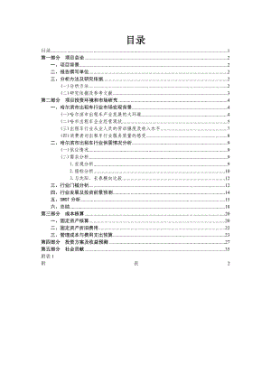 出租车运营可行性报告审核稿24788.doc