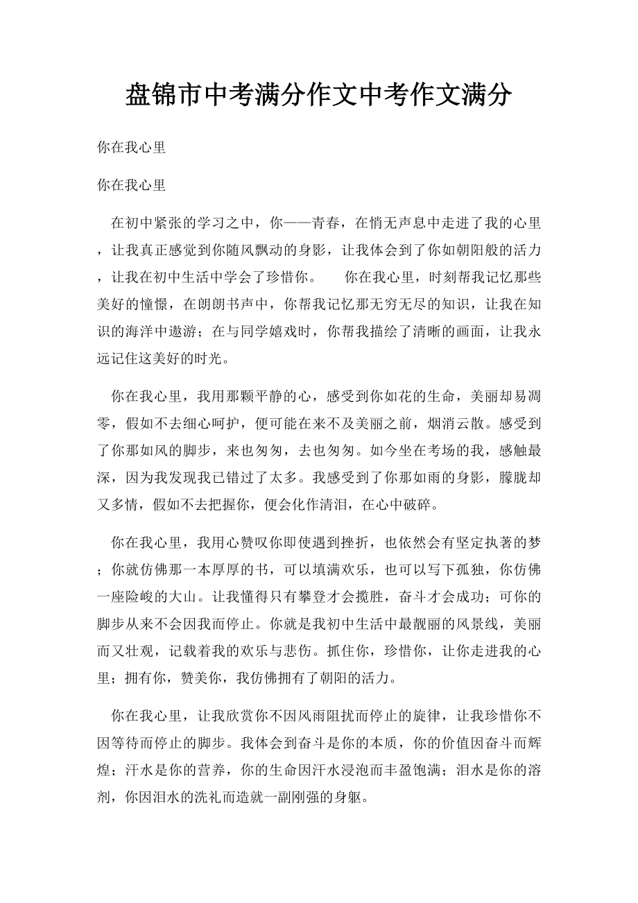 盘锦市中考满分作文中考作文满分.docx_第1页