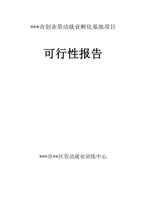 某市级创业带动就业孵化基地项目可行性报告.doc