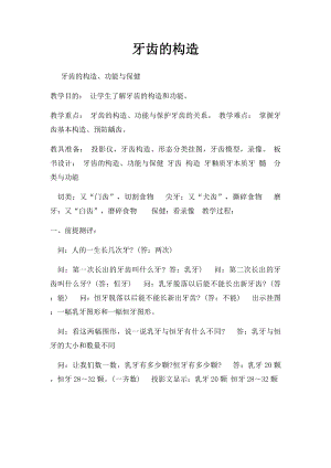 牙齿的构造.docx