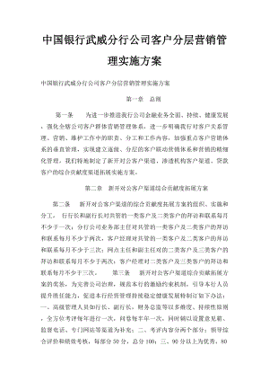 中国银行武威分行公司客户分层营销管理实施方案.docx