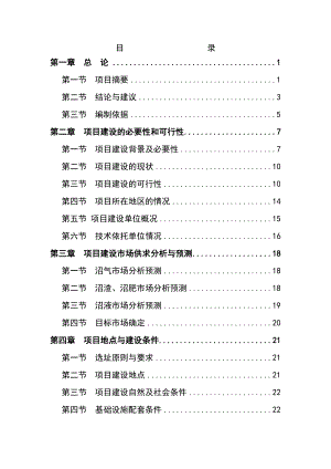 产13万立方米沼气工程建设项目可行性研究报告.doc