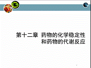 第12章药物的稳定性课件.ppt