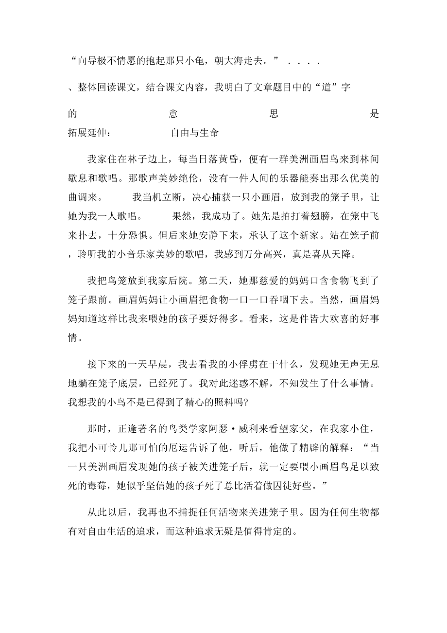 9自然之道练习题.docx_第2页