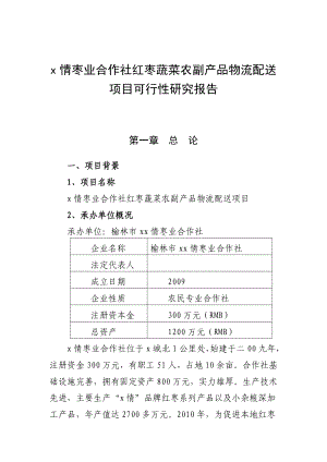 枣业合作社红枣蔬菜农副产品物流配送项目可行性研究报告.doc