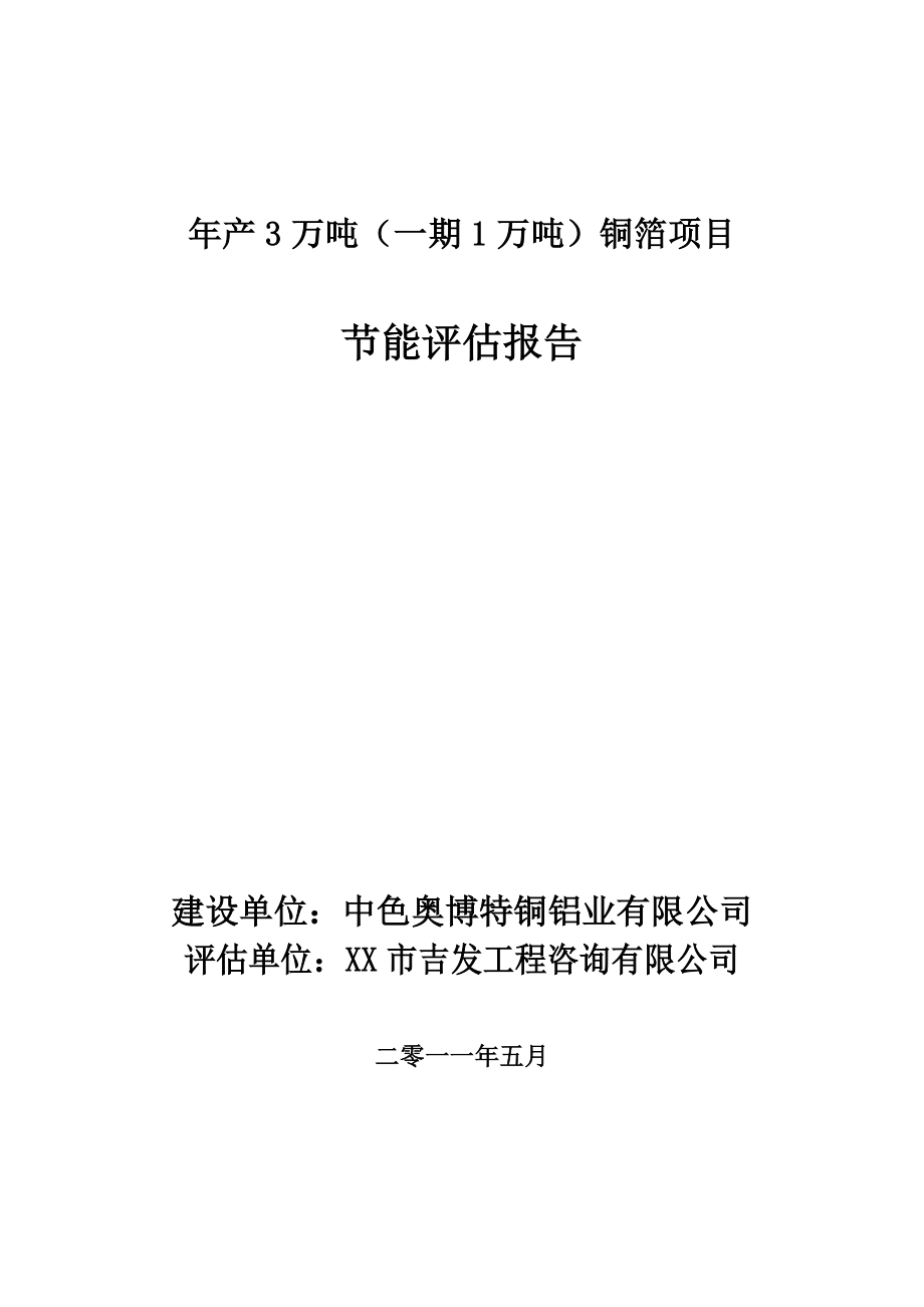 产3万吨（一期1万吨）铜箔项目节能评估报告.doc_第1页