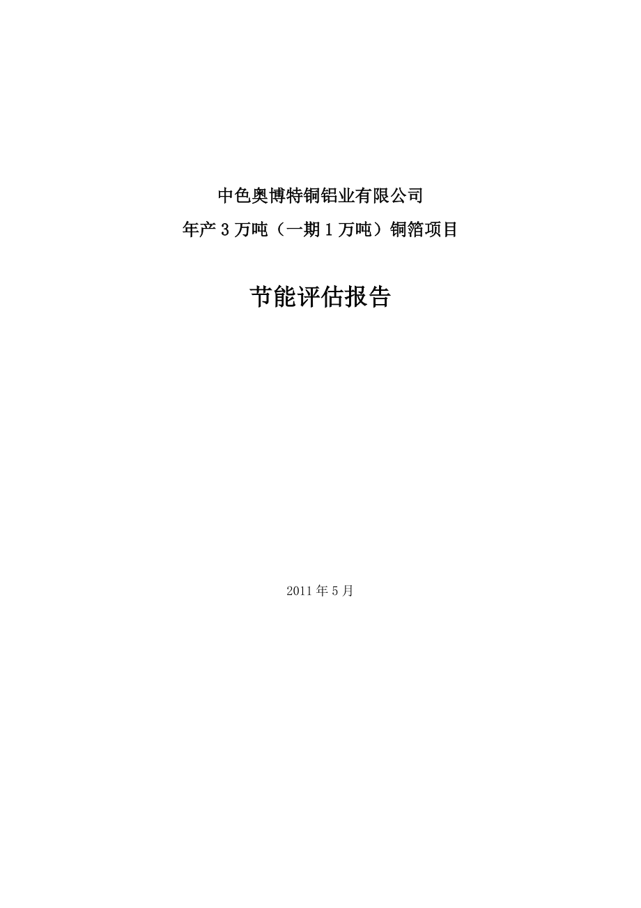 产3万吨（一期1万吨）铜箔项目节能评估报告.doc_第2页