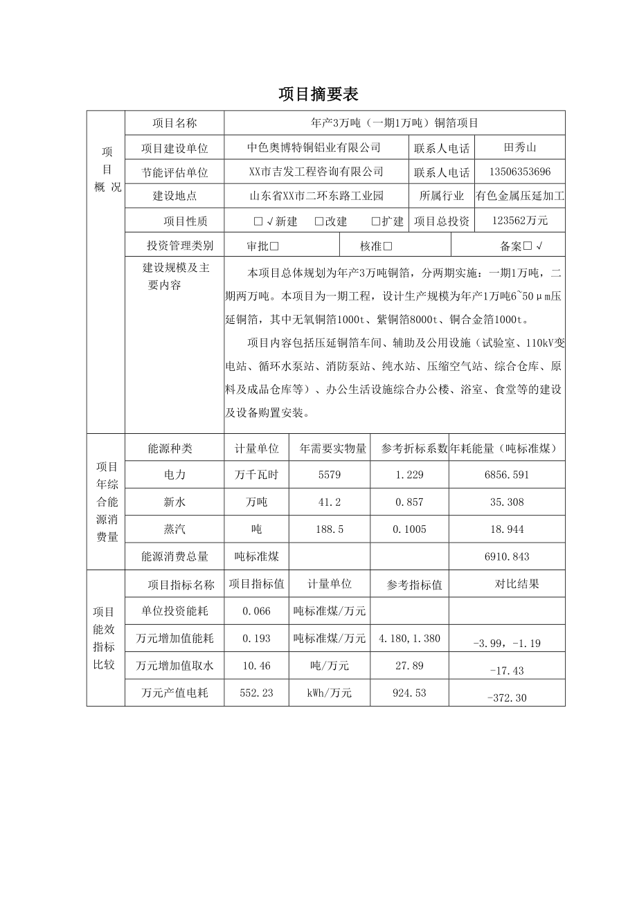 产3万吨（一期1万吨）铜箔项目节能评估报告.doc_第3页