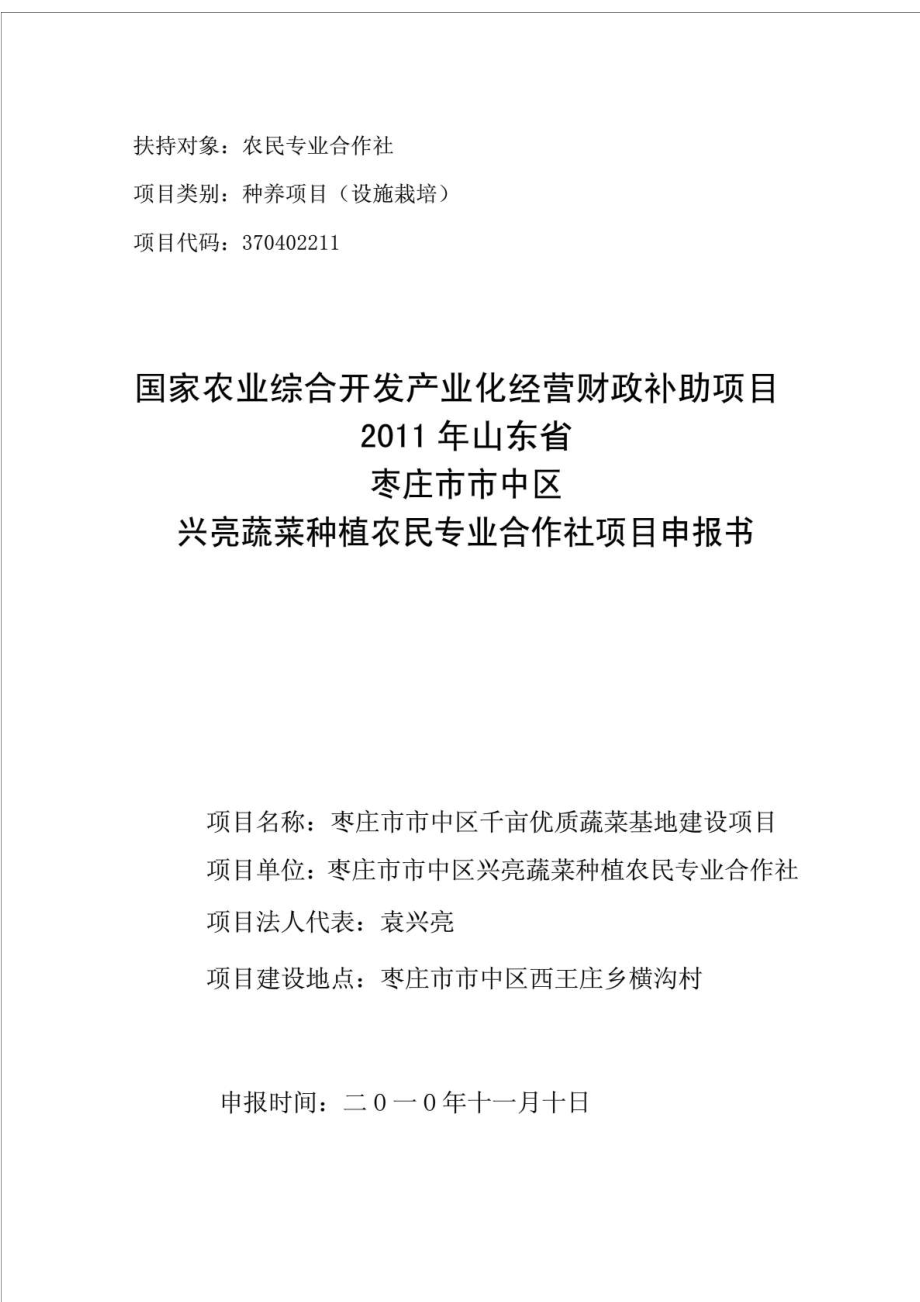 兴亮蔬菜种植农民专业合作社项目申报书.doc_第1页