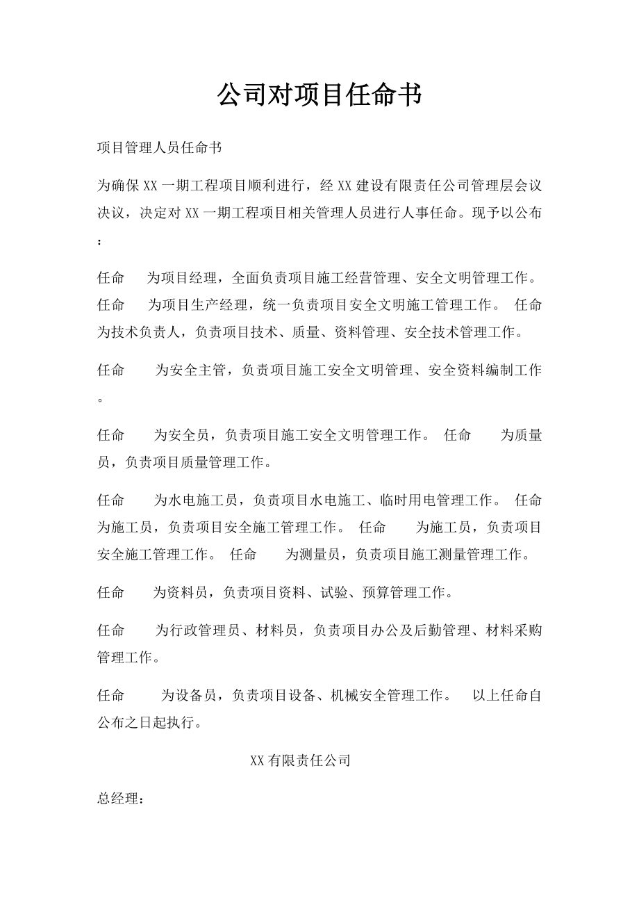 公司对项目任命书.docx_第1页