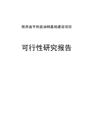 平利县20000亩油桐基地建设项目可行性研究报告.doc