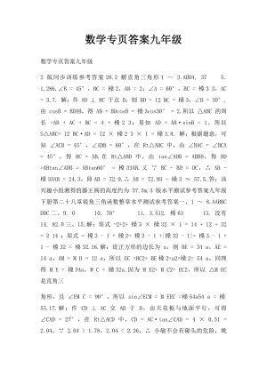 数学专页答案九年级.docx