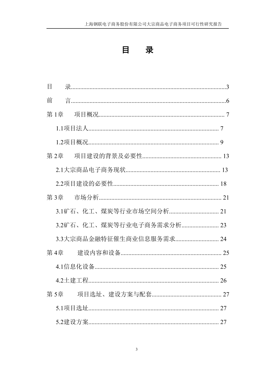 大宗商品电子商务项目可行性研究报告.doc_第3页