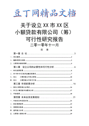 关于设立某小额贷款有限公司可行性研究报告 .doc