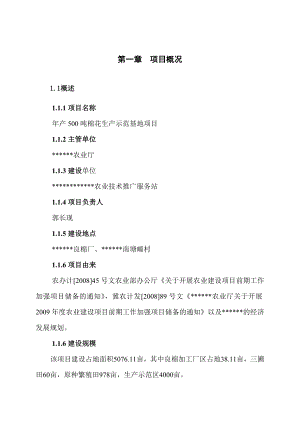 产500吨棉花生产基地示范项目可行性研究报告.doc