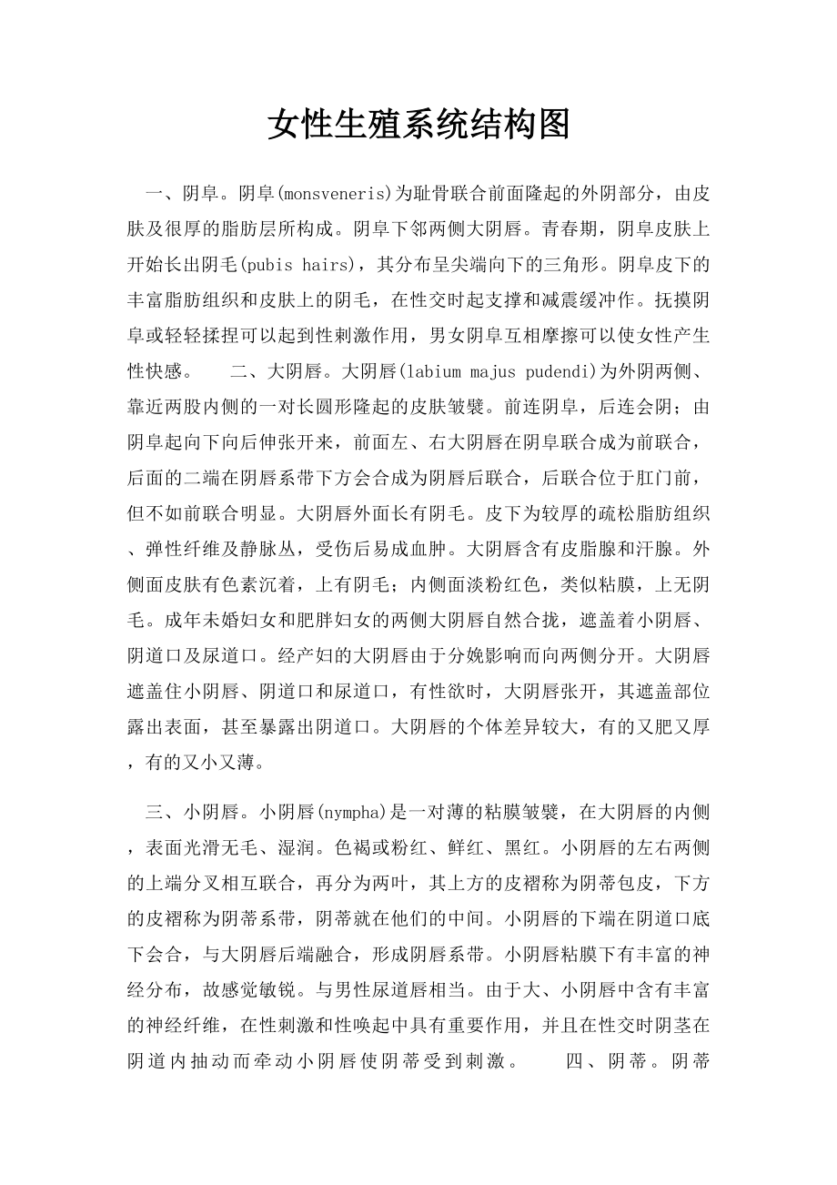 女性生殖系统结构图.docx_第1页