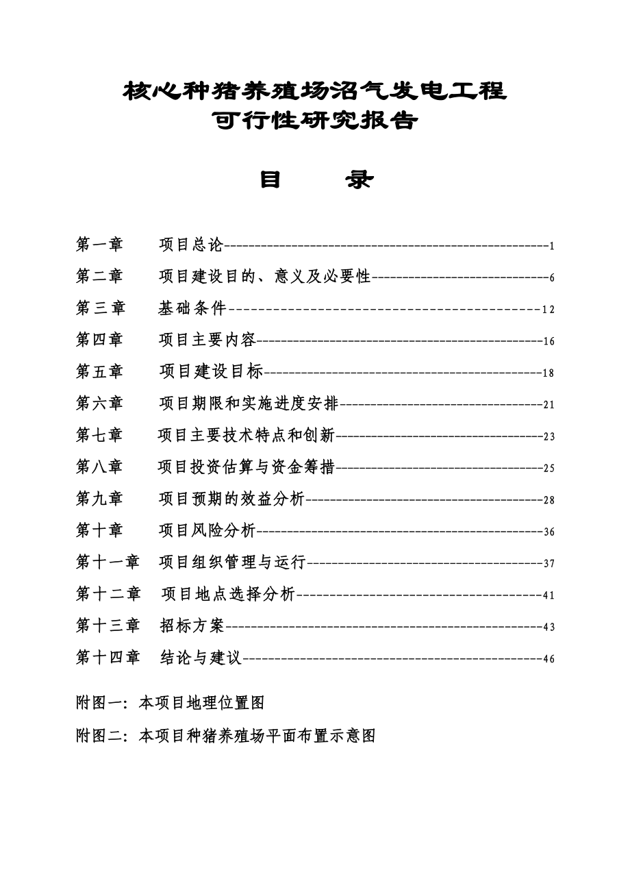 核心种猪养殖场沼气发电工程可行性研究报告.doc_第1页