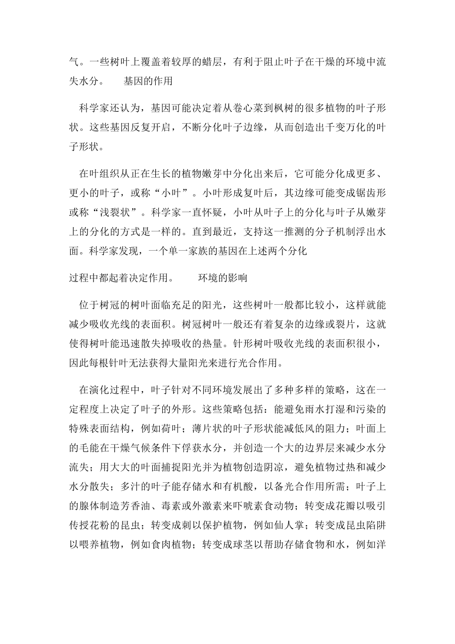 树的叶子形状为什么不同.docx_第2页