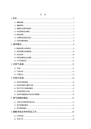 XX市XX区天然气利用项目可行性研究报告.doc