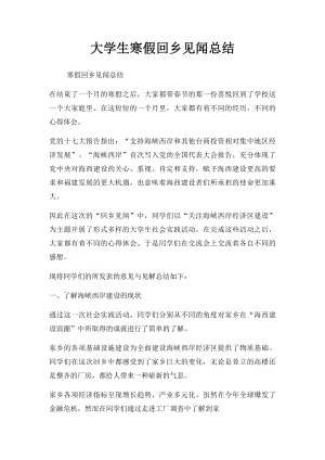 大学生寒假回乡见闻总结.docx