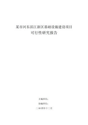 某市河东滨江新区基础设施建设项目可研报告.doc