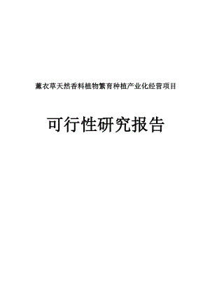 薰衣草天然香料植物繁育种植产业化经营项目可行性研究报告.doc